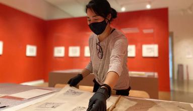 Kristen Hayashi installing Okubo’s drawings in the exhibition gallery